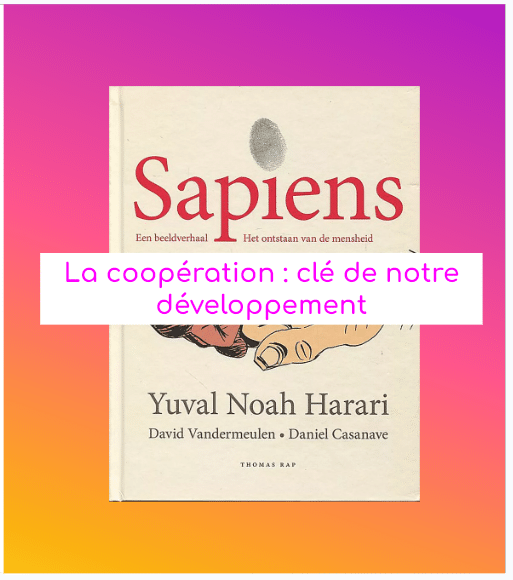 Livre "Sapiens"