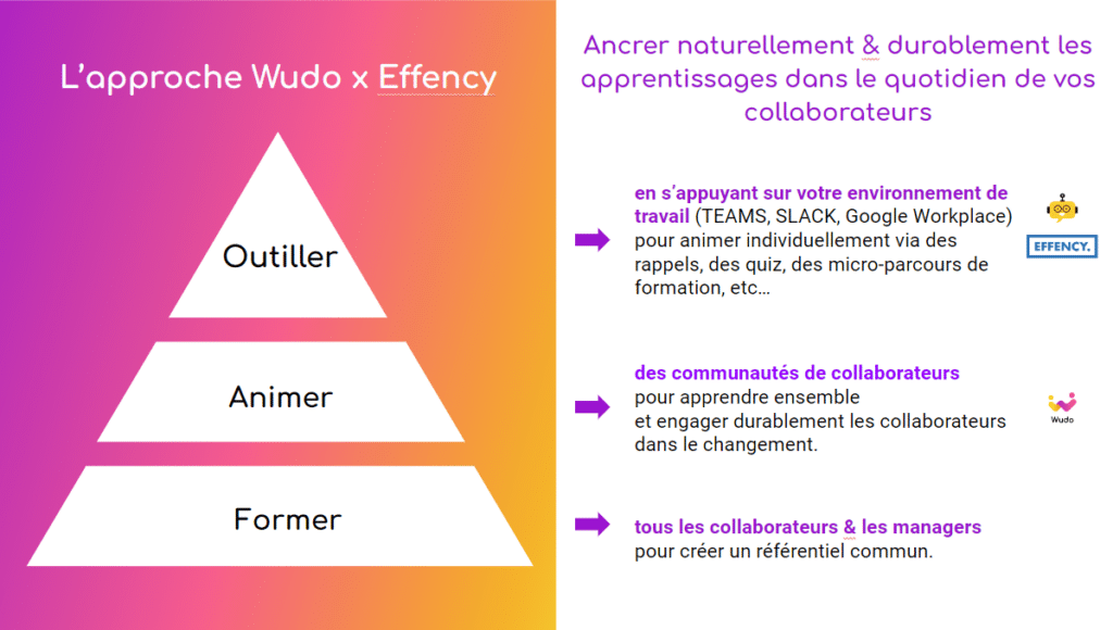 Pyramide Former, Animer et Outiller